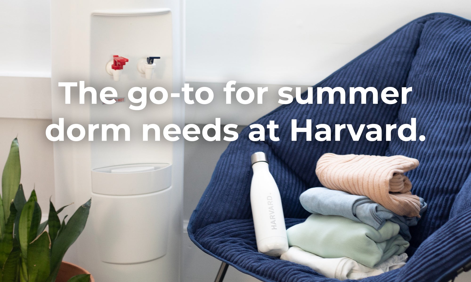 Harvard Student Agencies Dorm Essentials Summer School Services